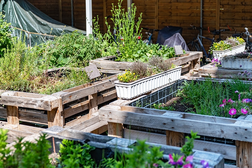 Gartenarbeit im Rahmen der Arbeitsnahe Tagesstrukturangebote Gartenwerk bei der Karl Immanuel Kuepper-Stiftung