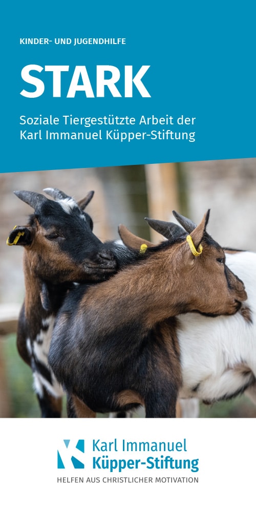 Titelblatt Folder Jugendhilfe - Soziale Tiergestützte Arbeit - STARK - Karl Immanuel Kuepper-Stiftung