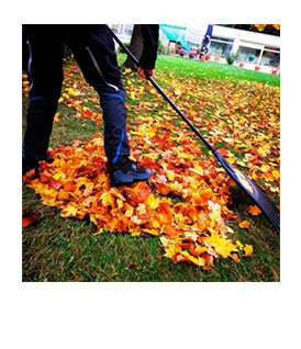 Gartenwerk | Karl Immanuel Küpper-Stiftung